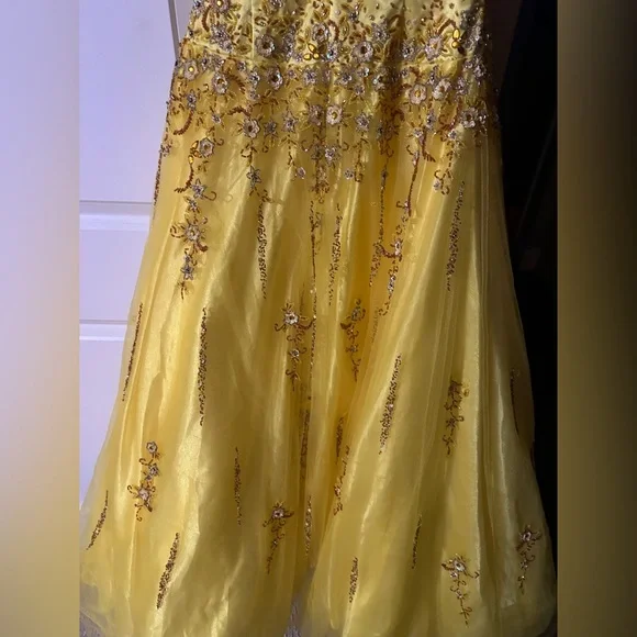 Bicici Prom/Graduation Dress - Picture 11 of 12